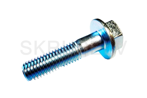 SKRUE M6SF 10X40 8,8 5066754-02